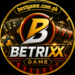 Betrixx Game